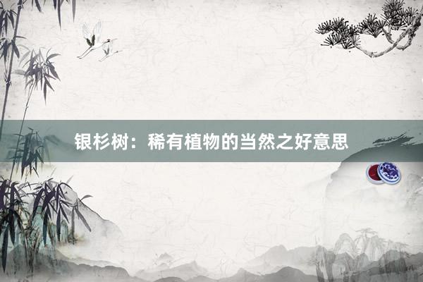 银杉树：稀有植物的当然之好意思