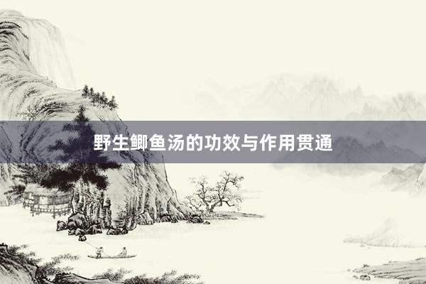 野生鲫鱼汤的功效与作用贯通
