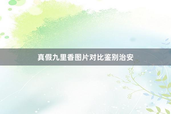 真假九里香图片对比鉴别治安