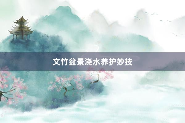 文竹盆景浇水养护妙技